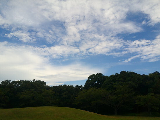 【はままつの空】8/1～8/7　一週間の空の欠片まとめ