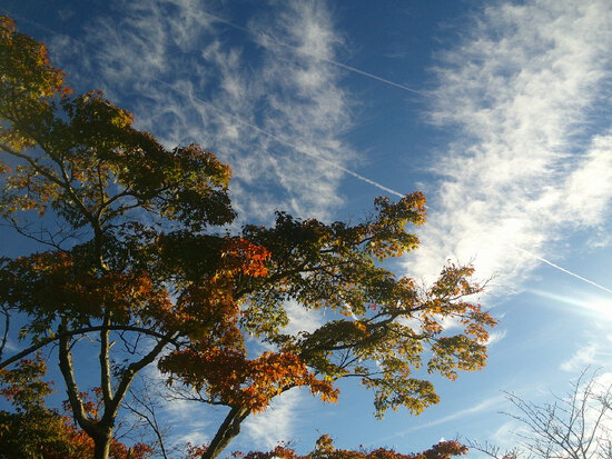 【はままつの空】10/31~11/6　一週間の空の欠片まとめ