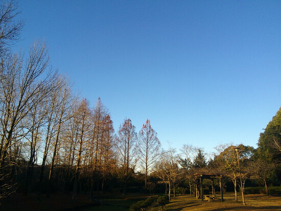 【はままつの空】12/12～12/18　一週間の空の欠片まとめ
