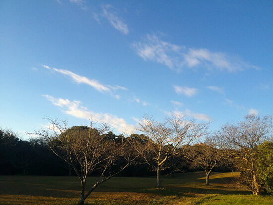 【はままつの空】12/12～12/18　一週間の空の欠片まとめ