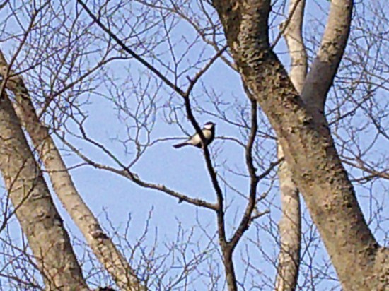 【はままつの空】3/7～3/13　一週間の空の欠片まとめ