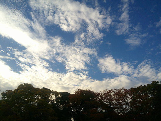 【はままつの空2020】11/2～11/8　一週間の空の欠片まとめ