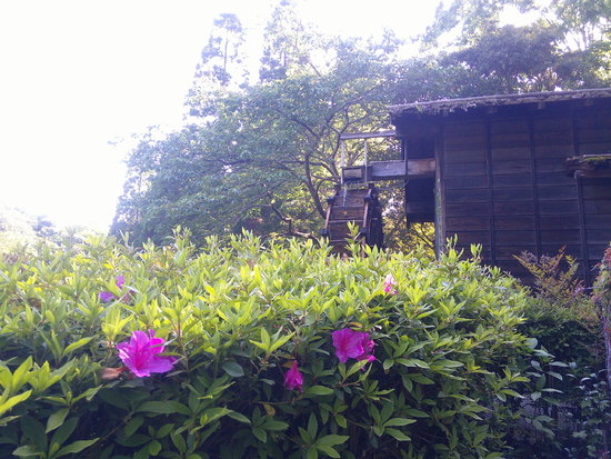 【はままつの空】5/2～5/8　一週間の空の欠片まとめ