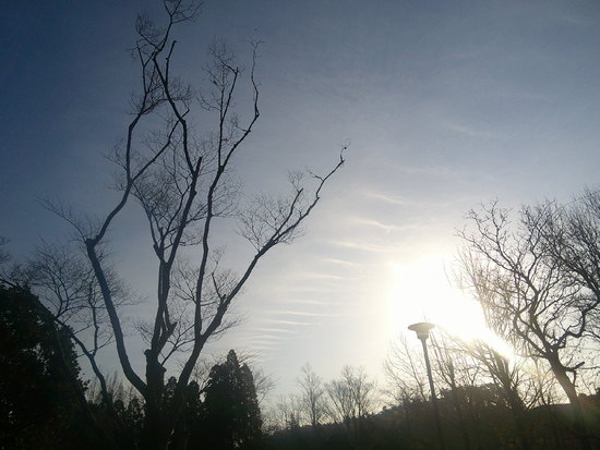 【はままつの空2021】2/22～2/28　一週間の空の欠片まとめ
