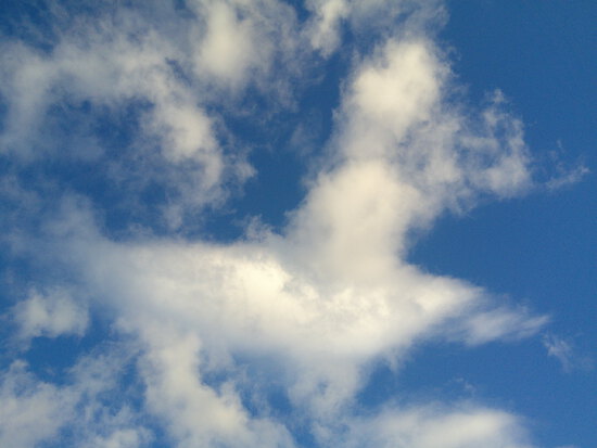 【はままつの空】11/28～12/4　一週間の空の欠片まとめ