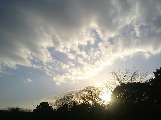 【はままつの空】12/12～12/18　一週間の空の欠片まとめ