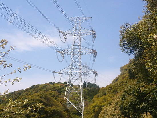 湖西連峰・坊ヶ峰～大知波峠の県境の稜線歩きとマイナーコース探索