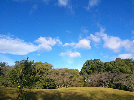【はままつの空】11/28～12/4　一週間の空の欠片まとめ