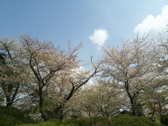 【はままつの空2021】3/29～4/4　一週間の空の欠片まとめ