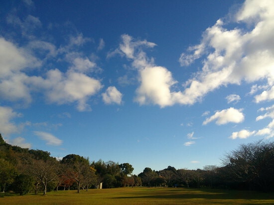 【はままつの空】11/28～12/4　一週間の空の欠片まとめ