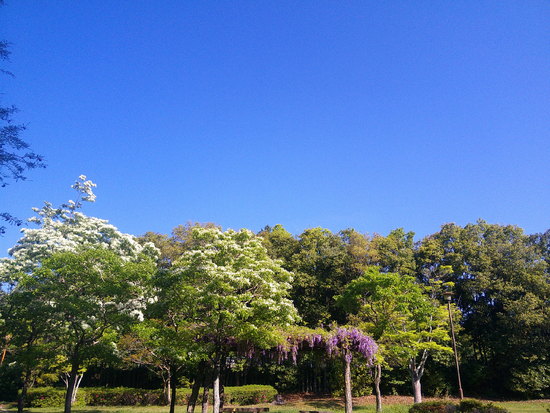 【はままつの空】4/18~4/24　一週間の空の欠片まとめ