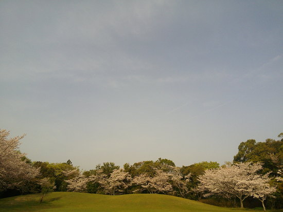 【はままつの空2021】3/29～4/4　一週間の空の欠片まとめ