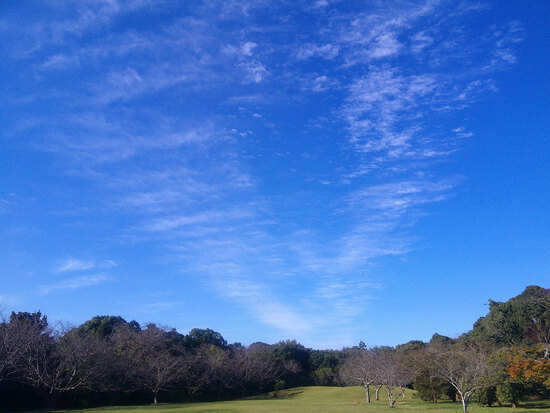 【はままつの空】10/24~10/30　一週間の空の欠片まとめ