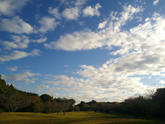 【はままつの空】11/14~11/20　一週間の空の欠片まとめ
