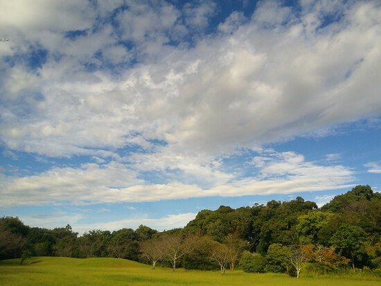 【はままつの空2023】10/9～10/15　一週間の空の欠片まとめ