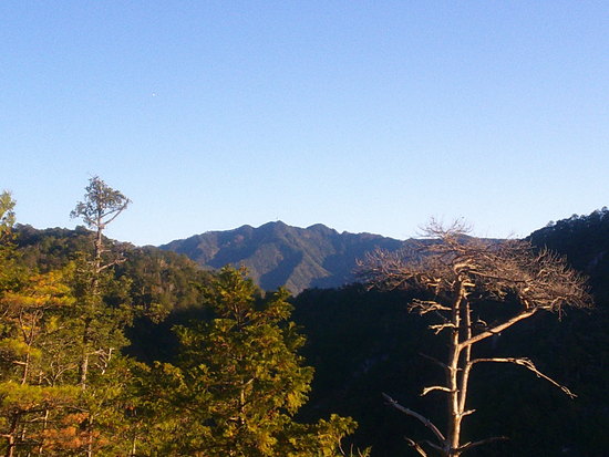 【空の欠片】天竜奥三河の空・山の稜線から見上げた青空