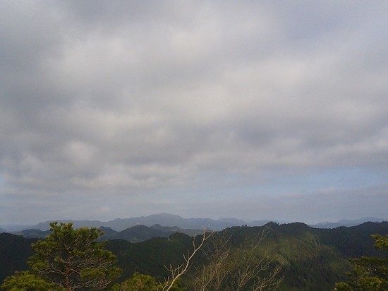 鳶ノ巣山の県境稜線を渋川から周回！枯山でギフチョウ探し