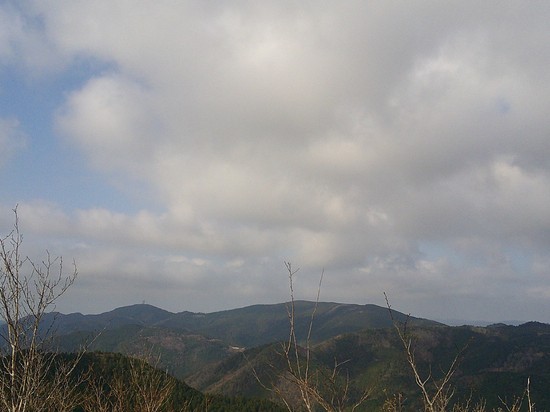 鳶ノ巣山の県境稜線を渋川から周回！枯山でギフチョウ探し