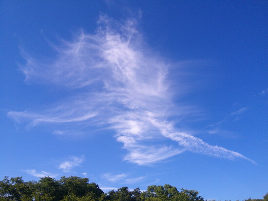 【はままつの空】8/1～8/7　一週間の空の欠片まとめ