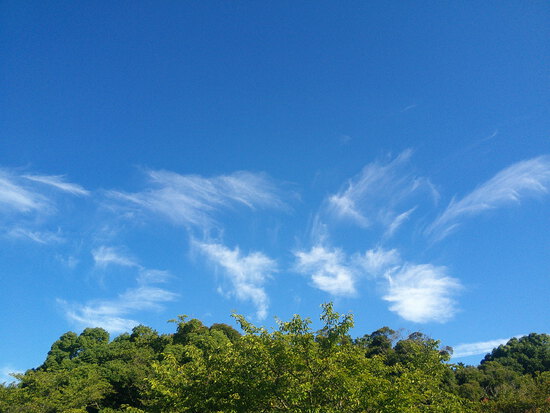 【はままつの空】8/1～8/7　一週間の空の欠片まとめ