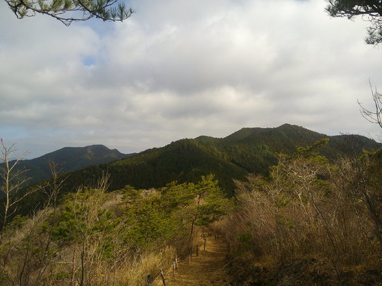 鳶ノ巣山の県境稜線を渋川から周回！枯山でギフチョウ探し