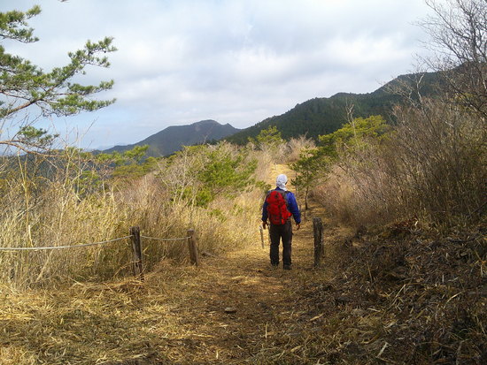 鳶ノ巣山の県境稜線を渋川から周回！枯山でギフチョウ探し