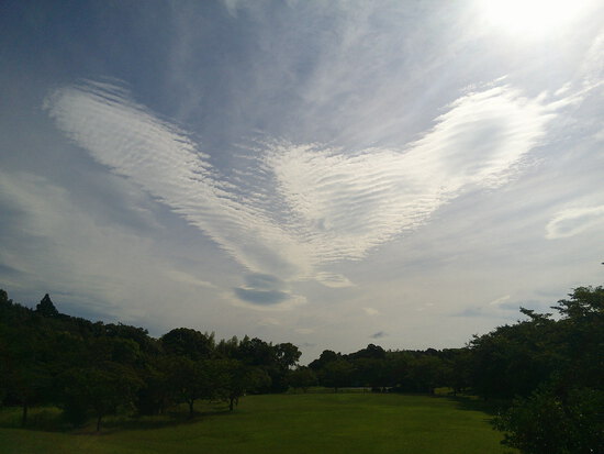 【はままつの空】7/18～7/24　一週間の空の欠片まとめ