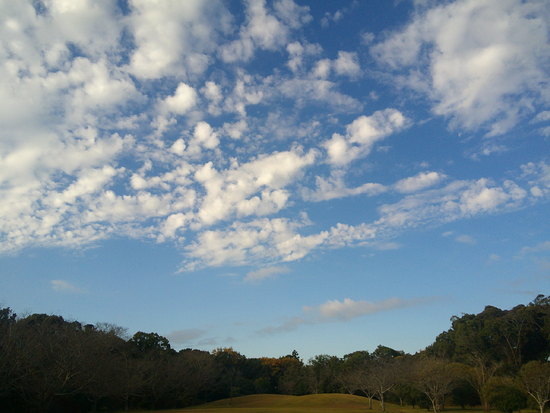 【はままつの空2020】11/30～12/6　一週間の空の欠片まとめ＋紅葉