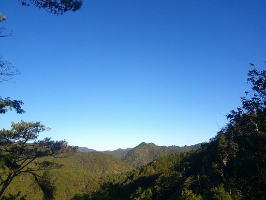 【空の欠片】天竜奥三河の空・山の稜線から見上げた青空