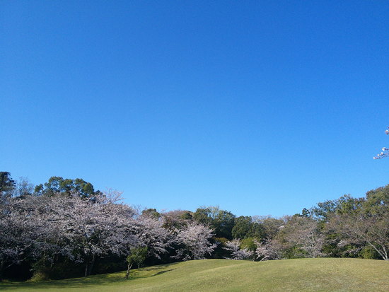 【はままつの空2021】3/22～3/28　一週間の空の欠片まとめ