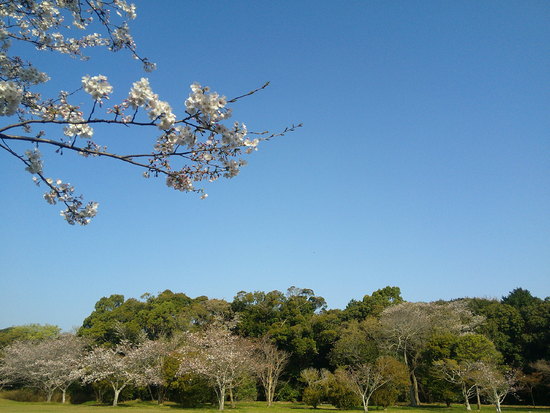 【はままつの空2021】3/22～3/28　一週間の空の欠片まとめ