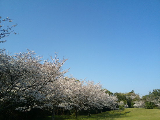 【はままつの空2021】3/22～3/28　一週間の空の欠片まとめ