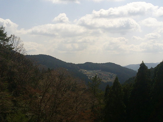 鳶ノ巣山の県境稜線を渋川から周回！枯山でギフチョウ探し