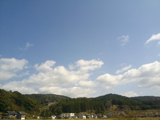 鳶ノ巣山の県境稜線を渋川から周回！枯山でギフチョウ探し