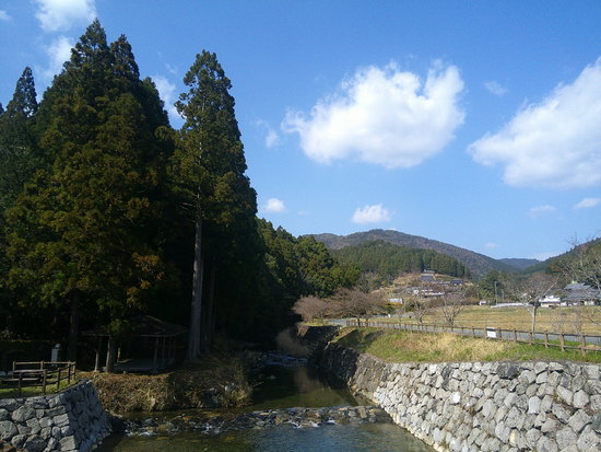 鳶ノ巣山の県境稜線を渋川から周回！枯山でギフチョウ探し