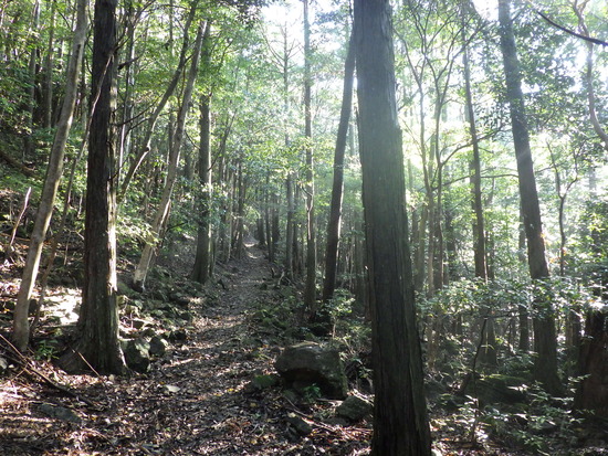 富幕山と扇山を只木遺跡から周回！秋晴れの空の下を稜線歩き