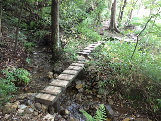 湖西連峰・葦毛湿原から９月閉鎖の大脇自然歩道を往復！厳しい夏山歩