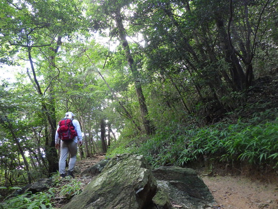 湖西連峰・葦毛湿原から９月閉鎖の大脇自然歩道を往復！厳しい夏山歩