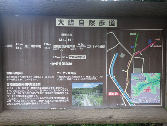 湖西連峰・葦毛湿原から９月閉鎖の大脇自然歩道を往復！厳しい夏山歩