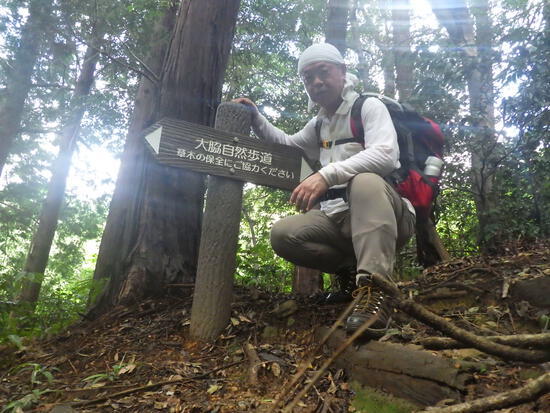 湖西連峰・葦毛湿原から９月閉鎖の大脇自然歩道を往復！厳しい夏山歩