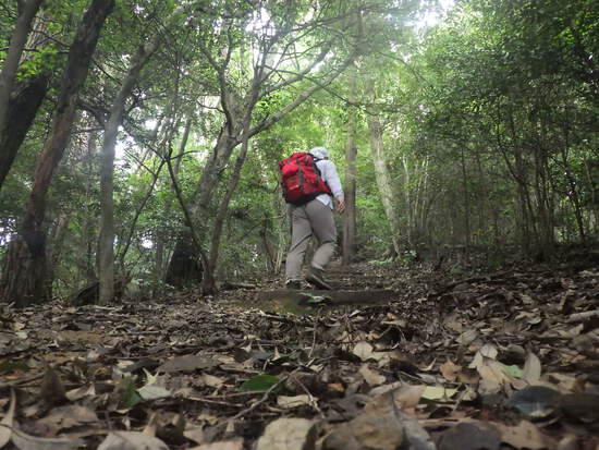 湖西連峰・葦毛湿原から９月閉鎖の大脇自然歩道を往復！厳しい夏山歩