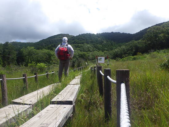 湖西連峰・葦毛湿原から９月閉鎖の大脇自然歩道を往復！厳しい夏山歩