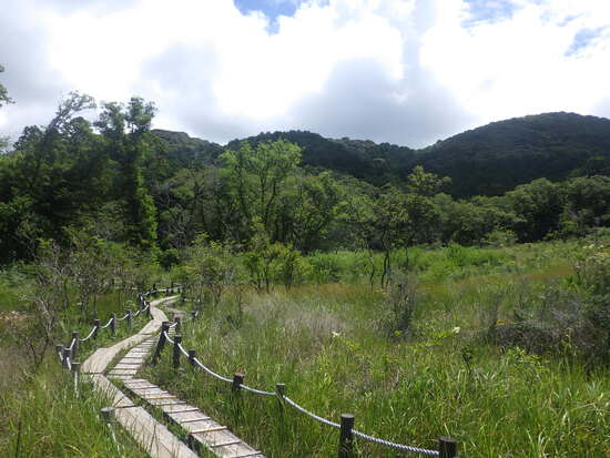 湖西連峰・葦毛湿原から９月閉鎖の大脇自然歩道を往復！厳しい夏山歩