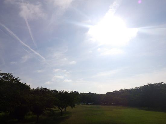 【はままつの空】8/1～8/7　一週間の空の欠片まとめ