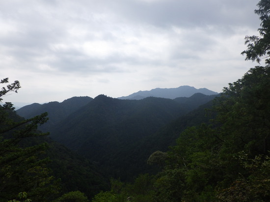 愛知県民の森を山歩！シャクナゲ尾根・不動沢・赤木沢・シュートン沢