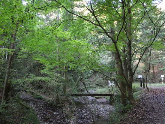 阿寺の七滝から鳶ノ巣山へ東海自然歩道で往復！秋風に吹かれながらの長距離散策