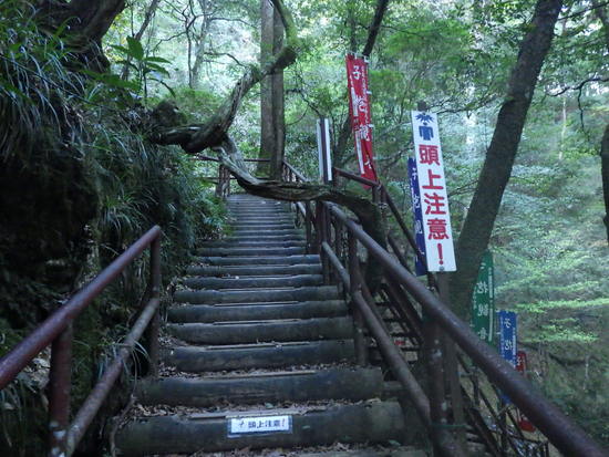 阿寺の七滝から鳶ノ巣山へ東海自然歩道で往復！秋風に吹かれながらの長距離散策