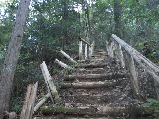 阿寺の七滝から鳶ノ巣山へ東海自然歩道で往復！秋風に吹かれながらの長距離散策