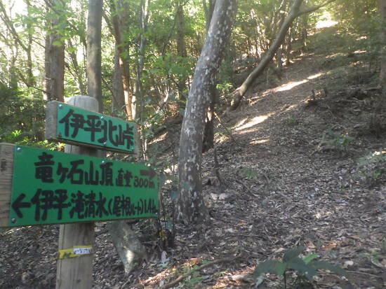 竜ヶ石山を伊平・滝清水からの尾根ルートで往復！青空に立つ初生の鐘