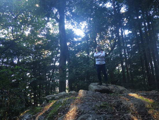 竜ヶ石山を伊平・滝清水からの尾根ルートで往復！青空に立つ初生の鐘
